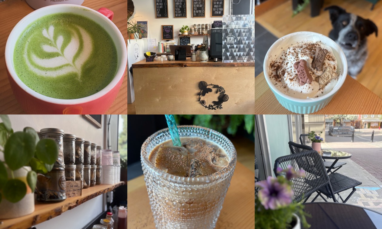 A collage of images showing fancy beverages served at Fantails