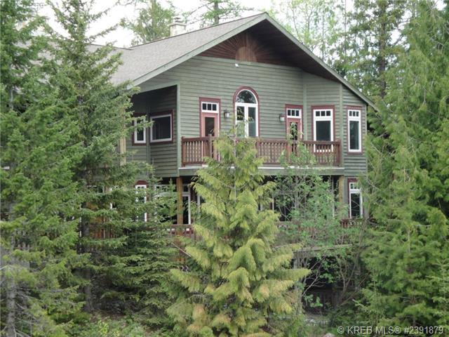 Looking at this Ski chalet through the trees. 