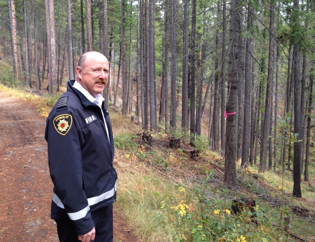 Fire Chief Al Collinson overlooks a forest in the Kimberley Nature Park that has been thinned to reduce wildland fire risks.