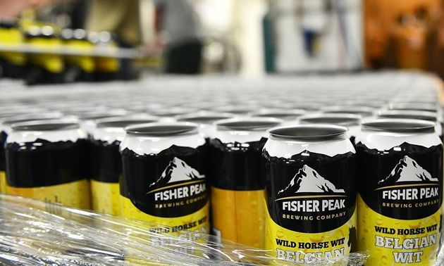 Picture of Fisher Creek Brewing Company beer in cans.