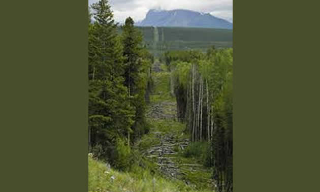 Photo of the Flathead Valley