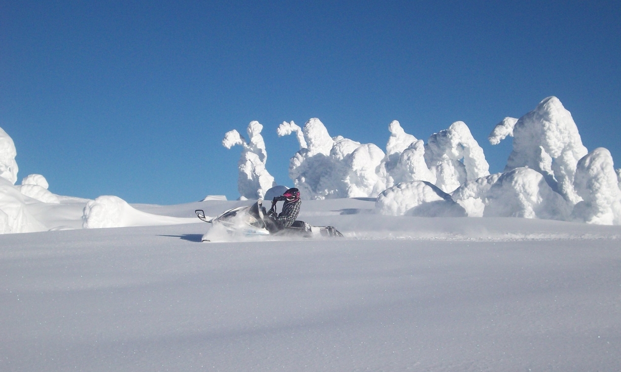 sledder in a snow drift under a sunny sky