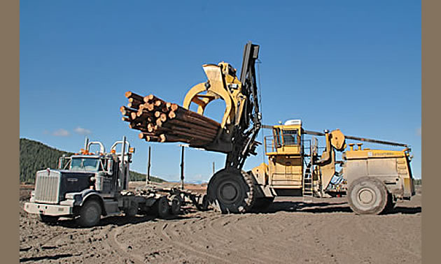 Forestry machinery at work