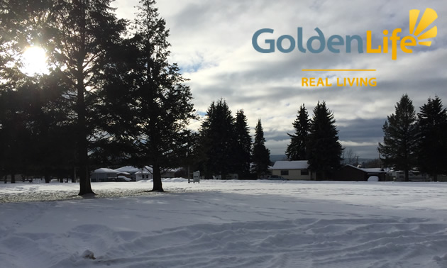 Picture of empty plot of land, with snow and pine trees and Golden Life logo. 