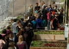 Teens in greenhouse
