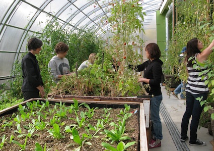Teens in greenhouse