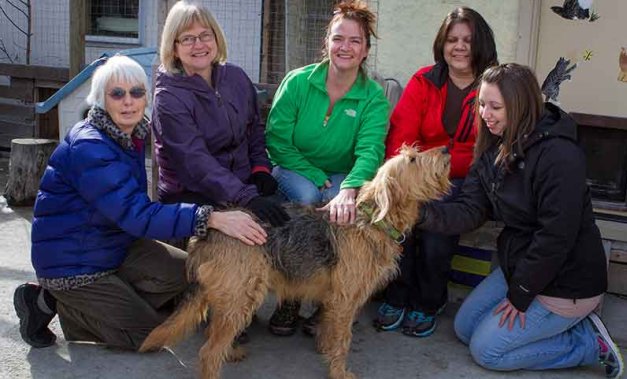 The staff members of ICAN pet shelter in Invermere