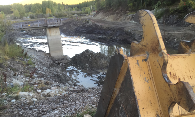 Picture of bulldozer and Idlewild Park in the background. 