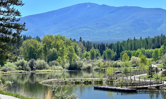 Idlewild Park has a newly restored dam and reservoir/pond with two fishing docks.