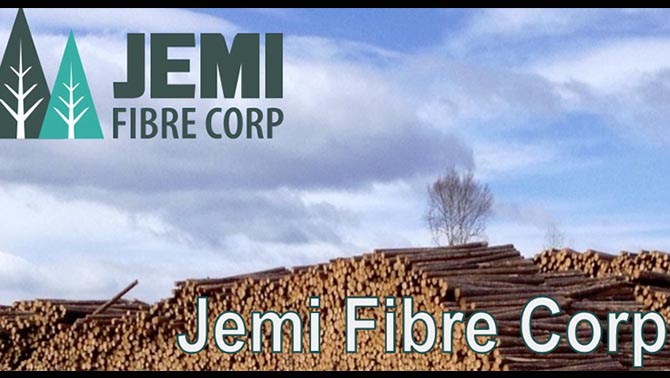 Jemi Fibre graphic. 