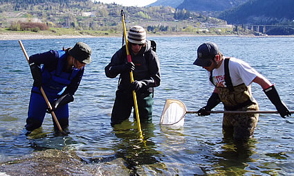 Photo of three people conducting a fish survey