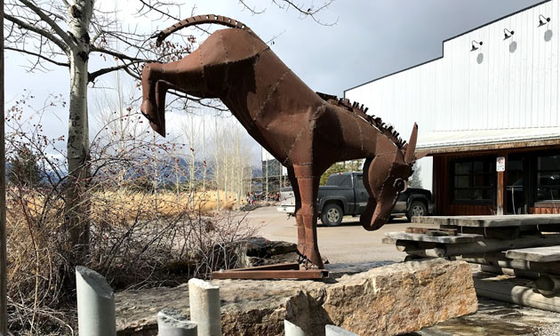 Large metal kicking horse sculpture in front of Kicking Horse Coffee building. 