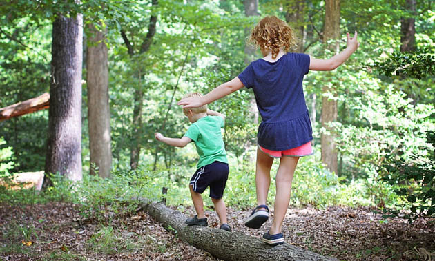 Kids playing on a log. 