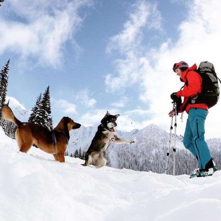 a lady skiing with her two dogs playing beside her