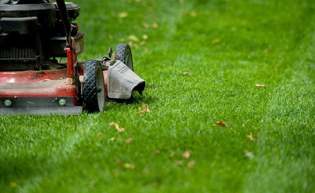 A green healthy lawn, with the edge of a lawn mower showing in the left of the photo.