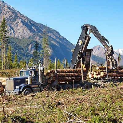 Logging truck loading logs. 