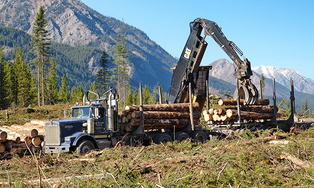 Logging truck loading logs. 