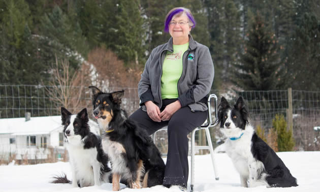 Jeanne Shaw with her three border collies. 