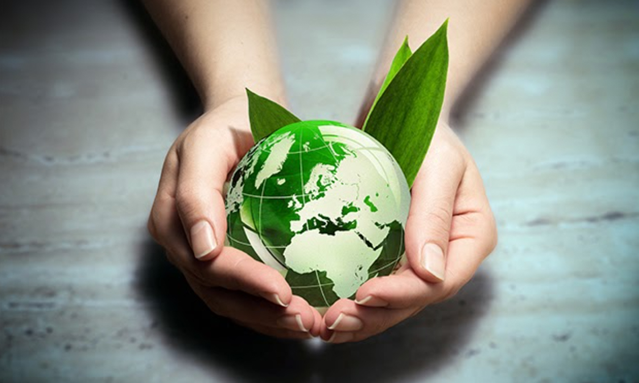 Individuals and businesses alike need to actively work to be more green, and businesses can benefit from promoting their sustainability practices.
