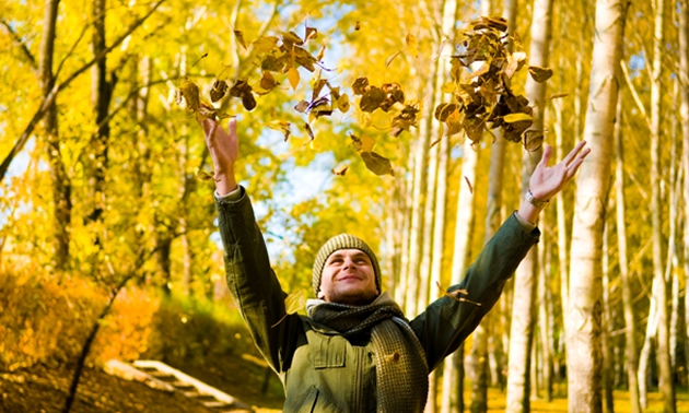 Photo of a person throwing leaves above their head