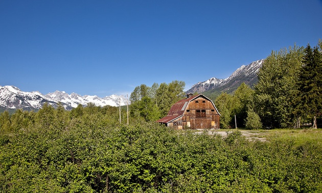 The historical barn will be a central part of the Montane community educational farm development.