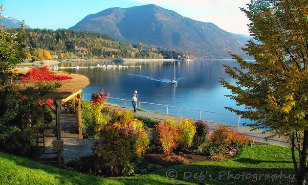 beach in Nakusp, BC