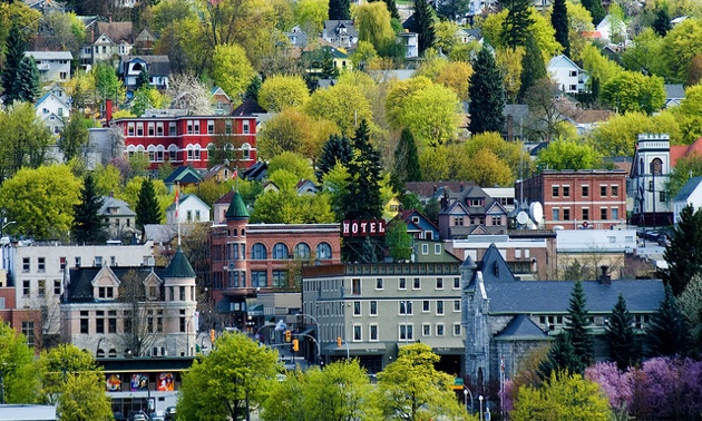 View of the sidehill of Nelson with houses and trees. 