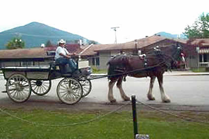 Rosemary Hughes in a carriage