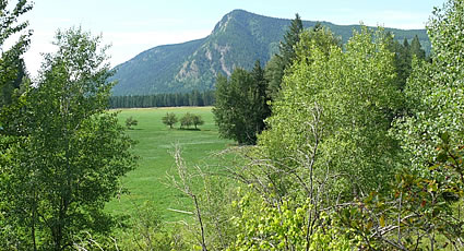 Photo of a pasture