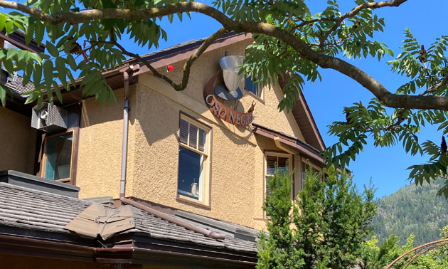 Picture of part of Oso Negro building showing sign, with tree branches in photo. 