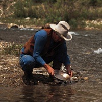 A prospector panning for gold in a river. 