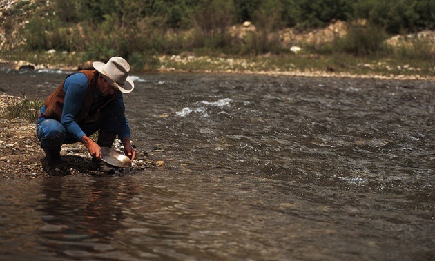 A prospector panning for gold in a river. 