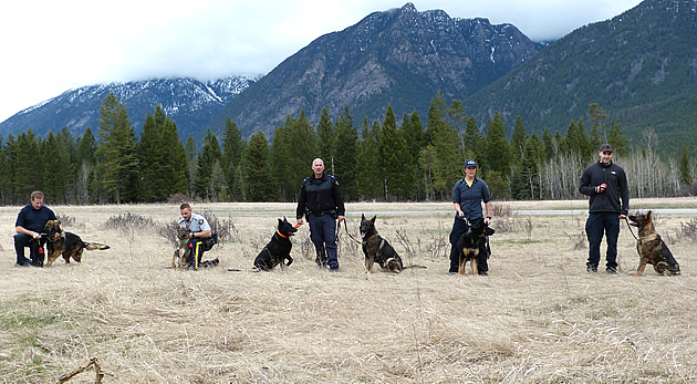 RCMP officers with their police service dogs. 