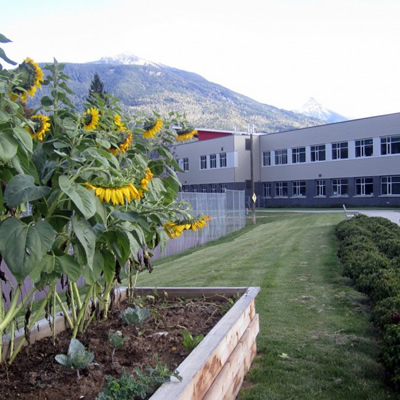 Picture of school in background, with planter full of sunflowers in foreground. 