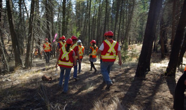 COTR forestry program