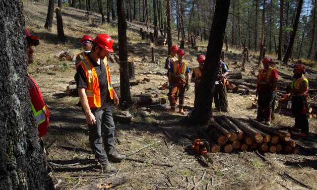 COTR forestry program