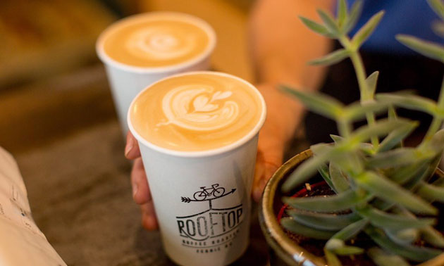 Close-up of two cups of cappuccino. 