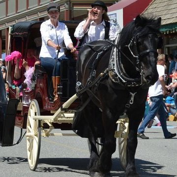 Kootenay Horse & Carriage in Kaslo, BC