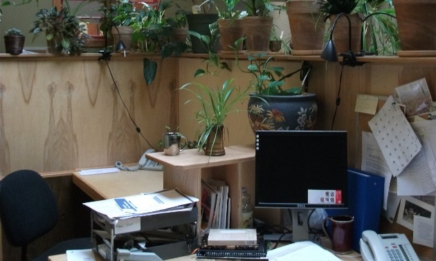 Laptop computer in an office with plants