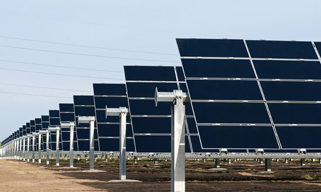 A solar panel installation at one of Conergy's California projects