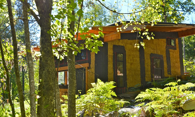 The straw bale walls are visible on the unfinished building set amongst the forest.