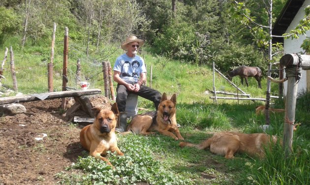 West Kootenay Tours provides everything from animal therapy to agriculture
