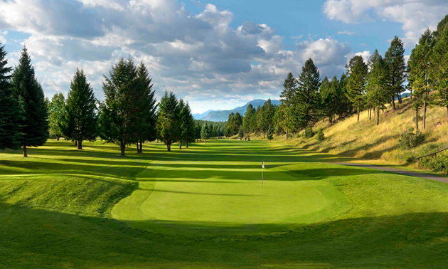 Aerial shot of Windermere Valley Golf course with pine trees in the background. 