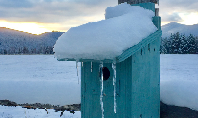 Birdhouse covered in snow, sun setting behind mountain in background. 
